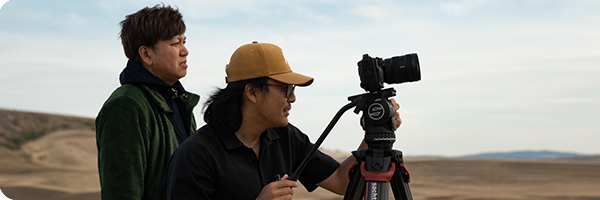 California Palm Trees Sunset