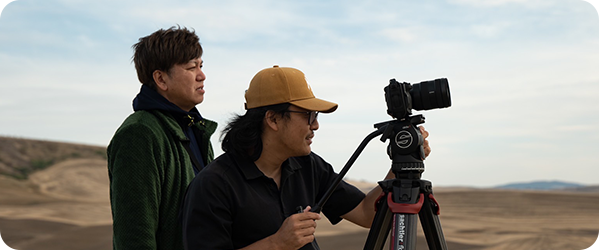 California Palm Trees Sunset